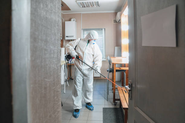 Why You Should Choose Our Mold Remediation Services in Mayflower Village, CA